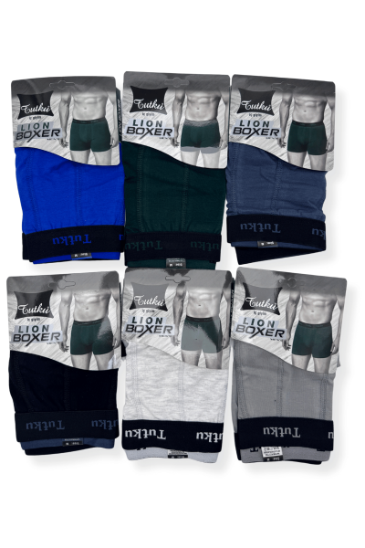 0123 Tutku Erkek Lion Spor Boxer 6'lı - 4