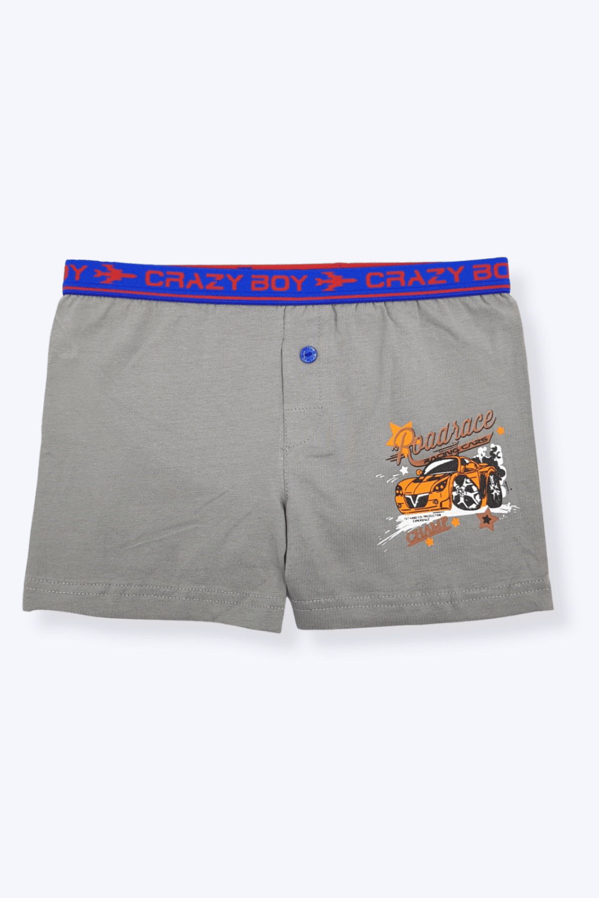 0253 Tutku Çocuk Elastan Baskılı Boxer 12'li Paket - 4