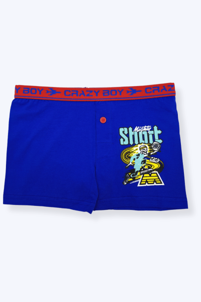 0253 Tutku Çocuk Elastan Baskılı Boxer 12'li Paket - 5
