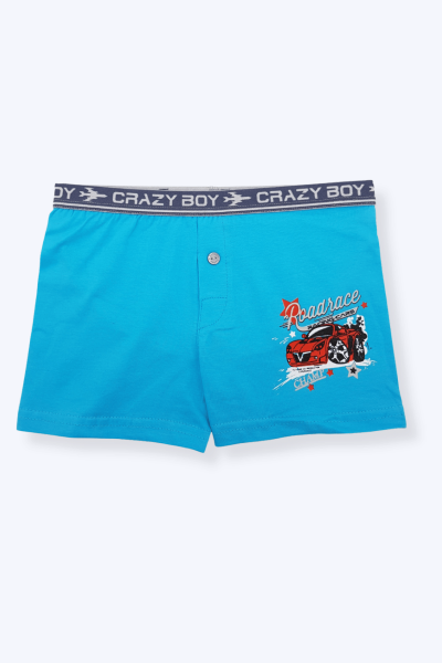 0253 Tutku Çocuk Elastan Baskılı Boxer 12'li Paket - 6