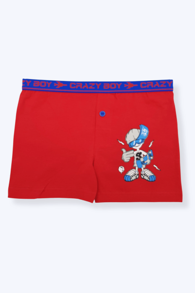 0253 Tutku Çocuk Elastan Baskılı Boxer 12'li Paket - 7