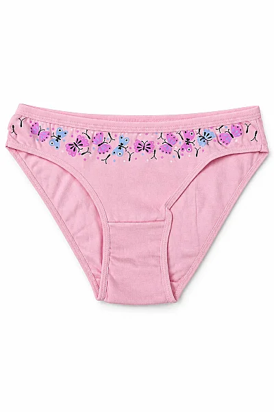 6034 Gümüş Kadın Nisa Bikini 12'li Pembe